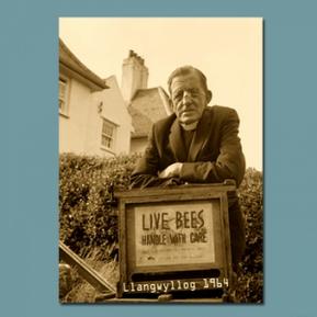 Reverend Bees